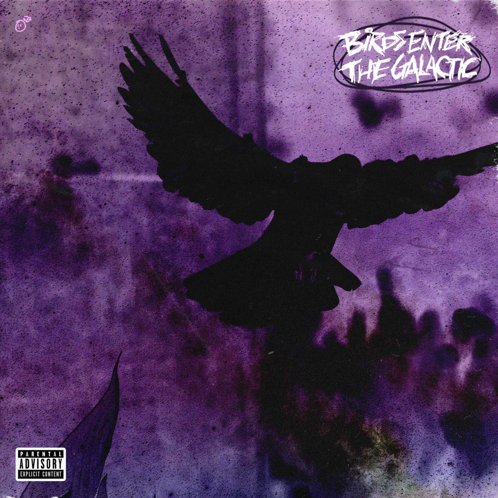 Album Artwork 23